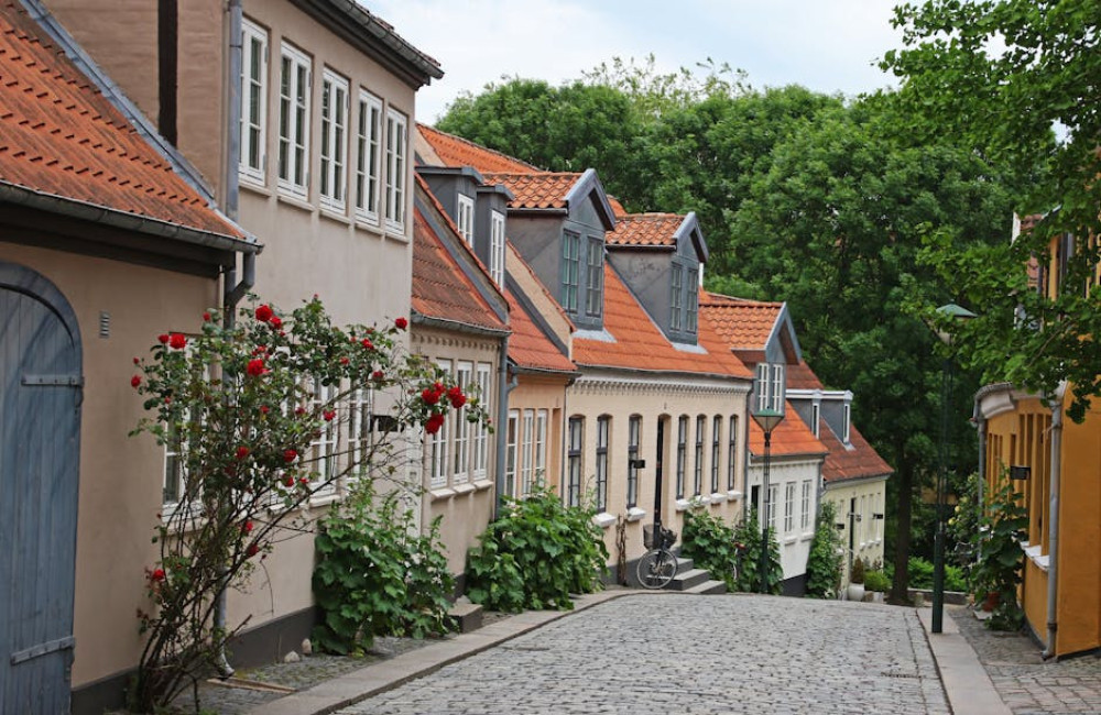 5 leuke activiteiten om te doen tijdens je vakantie in Denemarken